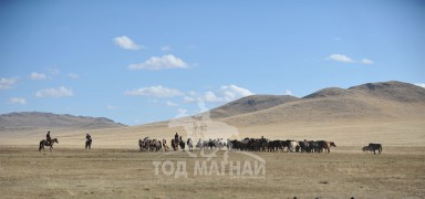 Даамай сайн гүүгээр даллаганы сав хий