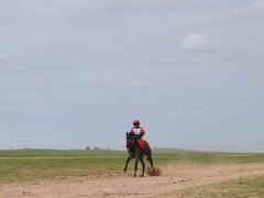 Говийн бүсийн уралдаанд эхний 10-т хурдалсан хурдан дааганууд