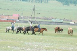 Монгол ахуй