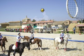 Horseball буюу морин квиддич