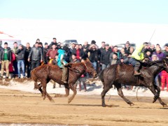 Ерөөлтийн халзан гэж ер бусын хурдан хүлэг