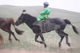 Т.Ихбаярын уяаны морьд өнгөтэй байна