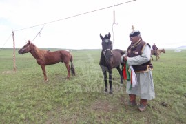 Тод манлай Ц.Хэнмэдэх:Зургаан насны 12 адуу уяж байна