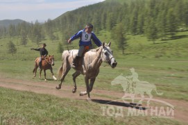 Гачууртын сунгаа их нас