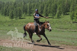 Гачууртын сунгаа их нас