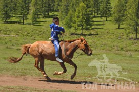 Гачууртын сунгаа их нас