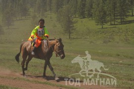 Гачууртын сунгаа их нас