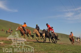 Гачуурт сунгаа