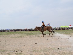 Соён гэгээрүүлэгч говийн V ноён хутагт Данзанравжаагийн мэлмий гийсний 215 жилийн ой, говийн бүсийн уралдаанд эхний 10-т хурдалсан хурдан их насны морьд