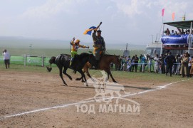 АХ-ын 91 жилийн ойн хурдан шүдлэн насны морьдын фото