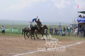 АХ-ын 91 жилийн ойн хурдан шүдлэн насны морьдын фото