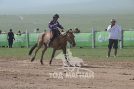 АХ-ын 91 жилийн ойн хурдан шүдлэн насны морьдын фото