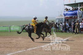 АХ-ын 91 жилийн ойн хурдан шүдлэн насны морьдын фото