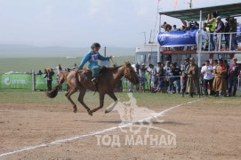 АХ-ын 91 жилийн ойн хурдан шүдлэн насны морьдын фото