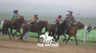 Эхний аравт хурдалсан хурдан азарганууд