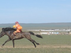 АЙМГИЙН АЛДАРТ УЯАЧ Ж.ДОВДОНБАЛЖИР: ОЛОН ЖИЛ МОРЬ УЯЛГҮЙ ЗАВСАРЛААД 2005 ОНД ШҮДЛЭН АЙРАГДАХАД МАГНАЙ ТЭНИЙТЭЛ БАЯРЛАСАН