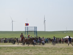 Соён гэгээрүүлэгч говийн V ноён хутагт Данзанравжаагийн мэлмий гийсний 215 жилийн ой, говийн бүсийн уралдаанд эхний 10-т хурдалсан хурдан азарганууд