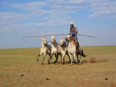 Монгол Улсын Сайн малчин, сумын Алдарт уяач Ч.ЦЭРЭНДАВАА: Ажаа минь надад ОЛОН САЙХАН ХУРДАН БУЯН ХАЙРЛАСАН