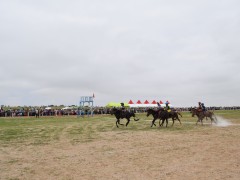 Говийн бүсийн уралдаанд эхний 10-т хурдалсан хурдан шүдлэнгүүд