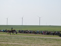 Соён гэгээрүүлэгч говийн V ноён хутагт Данзанравжаагийн мэлмий гийсний 215 жилийн ой, говийн бүсийн уралдаанд эхний 10-т хурдалсан хурдан азарганууд