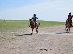 Говийн бүсийн уралдааны эрлийз дээд ангилалд эхний 10-т хурдалсан хурдан хүлгүүд